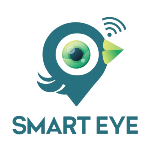 SMART EYE